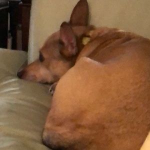 Meet your Posher, Tiffany